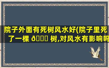 院子外面有死树风水好(院子里死了一棵 🐘 树,对风水有影响吗)